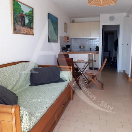 T2 Capacite 4 Personnes En Rez De Jardin 塞特港